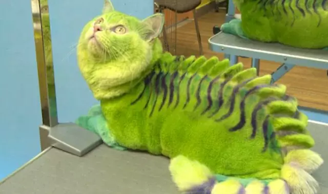 video-undefined-21730B4300000578-995_636x358