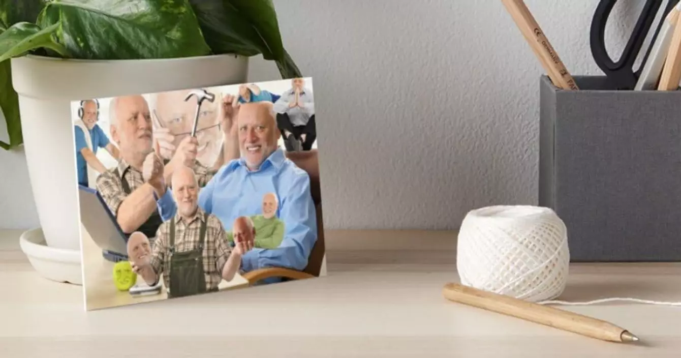 impression-harold-meme