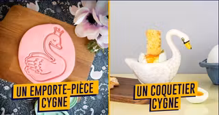 UNE-SHOPPING-CADEAU-CYGNE