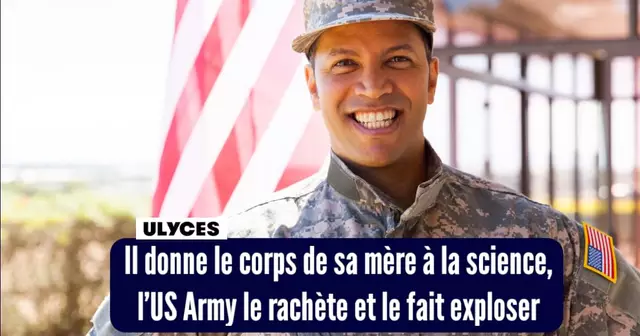 top champion semaine 244