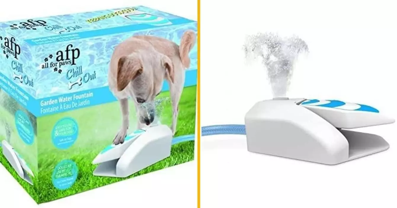 fontaine-eau-chien-jardin