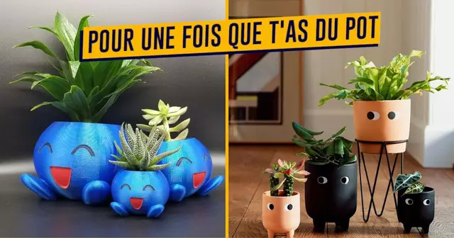 xr:d:DAFA3kYD43o:6878,j:32085189442,t:22080311