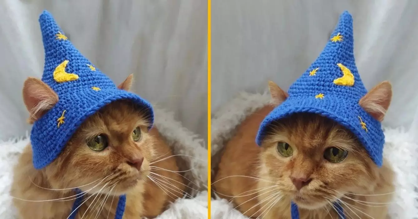 chapeau-sorciere-chat