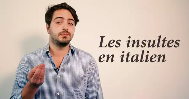 VIGNETTE_INSULTES_IT