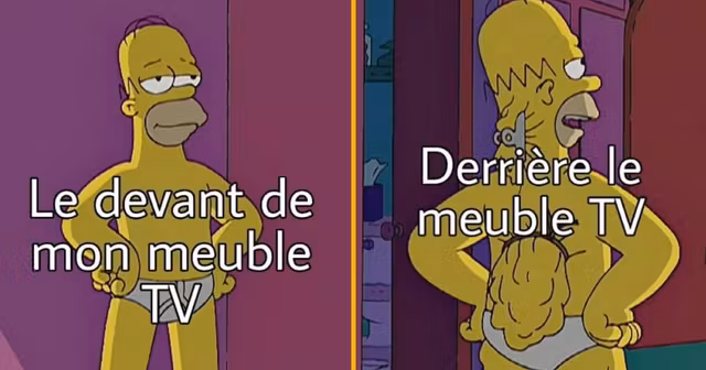 UNE_TOPITO_homer-meuble-TV