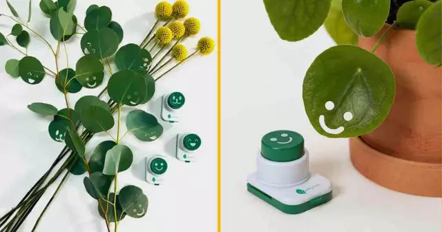 set-perforateur-plante