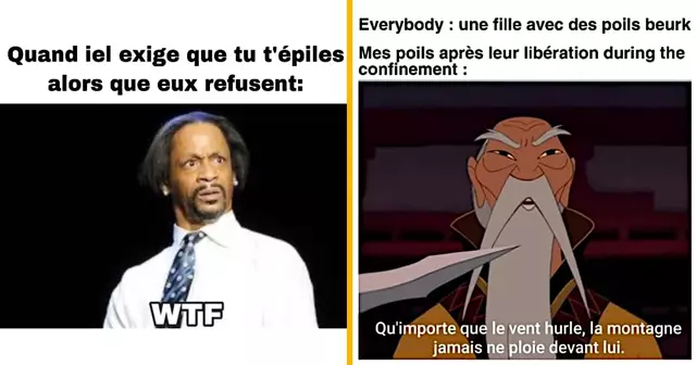 top memes poils