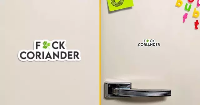 magnet-fuck-coriandre