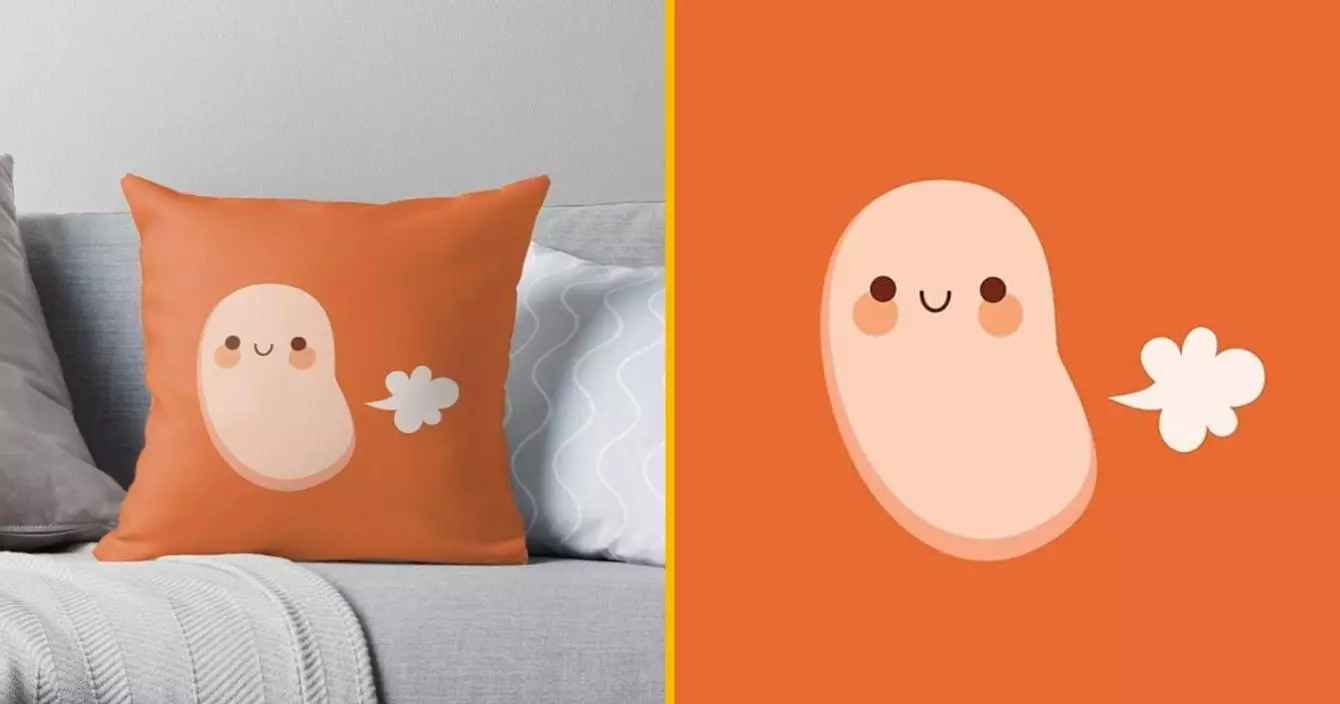 coussin-haricot-peteur