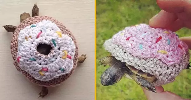 costume-tortue-donut
