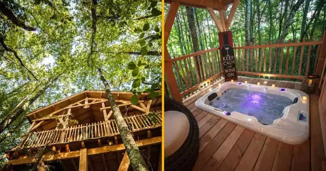 lodge-arbres-spa-nouvelle-aquitaine