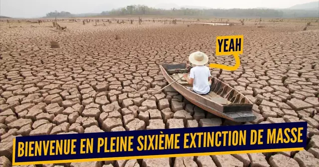 extinctions de masse (1)