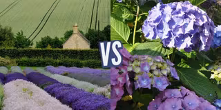 battle-387444-1435074321