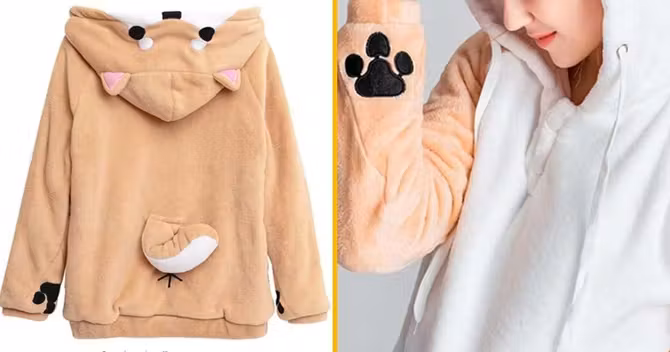 pull-transformer-shiba