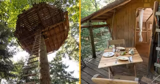 sejour-2-personnes-cabane-perchee-arbre