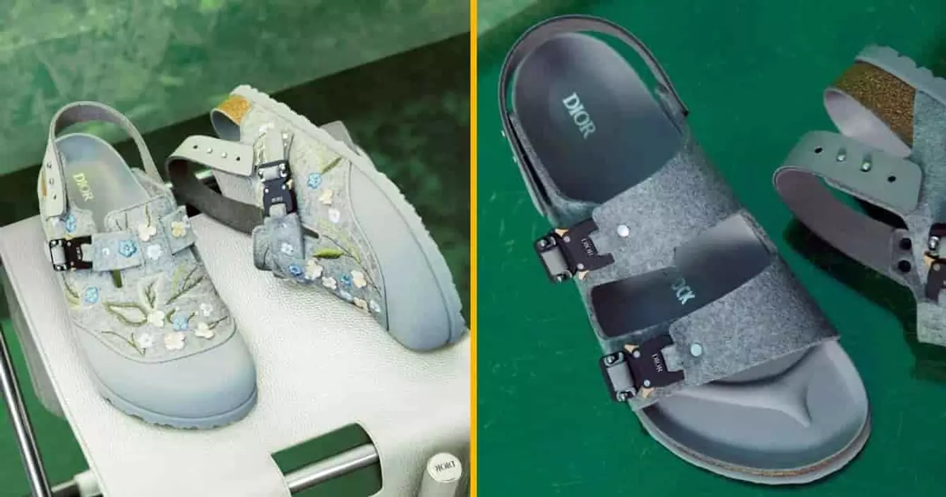 paire-birkenstock-dior