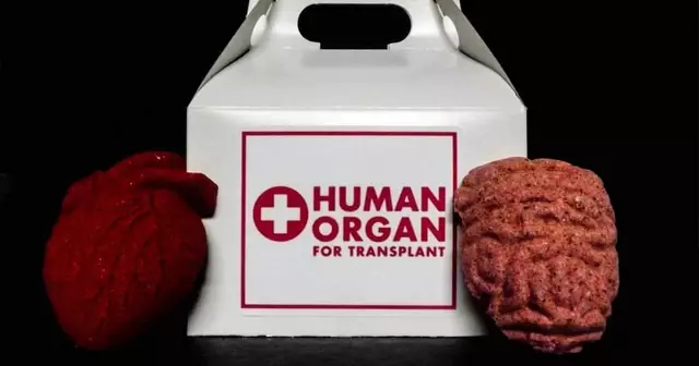 bombe-bain-organe-pied-coeur