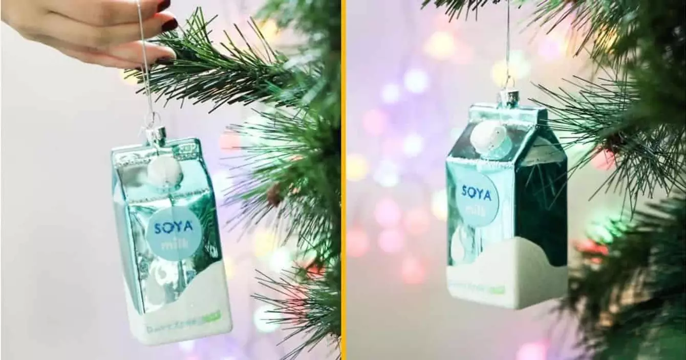 boule-noel-brique-lait-soja