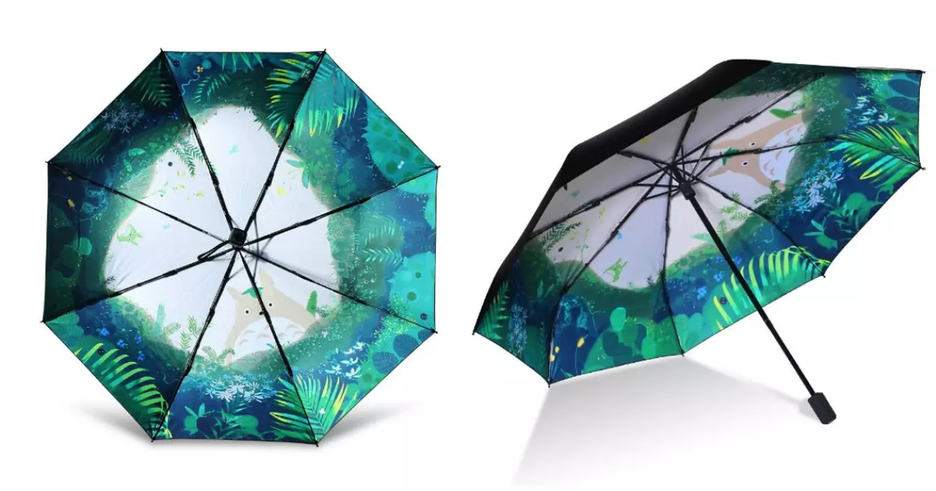 parapluie-totoro