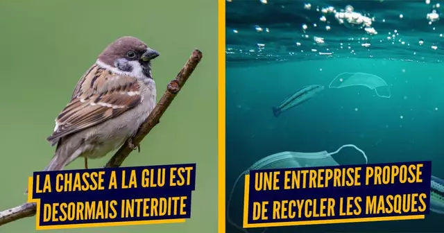 BONNES NOUVELLES (1)