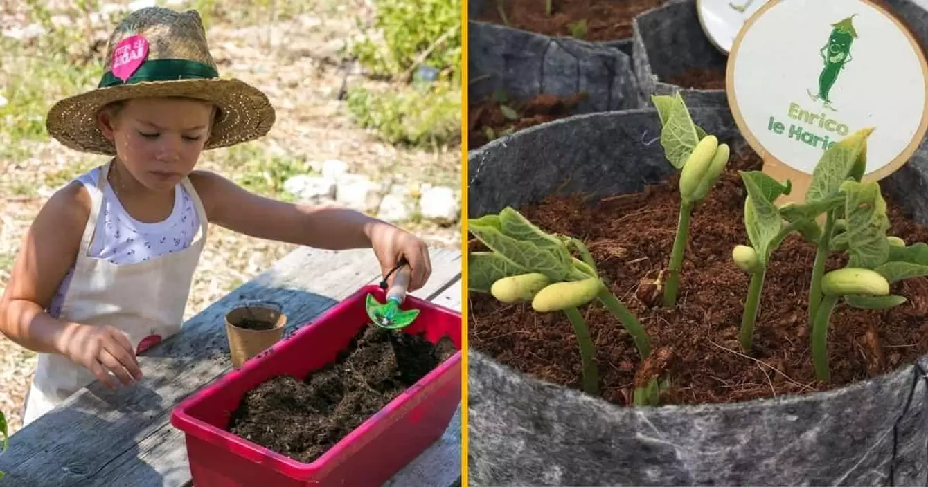 les-petits-radis-apprendre-jardiner