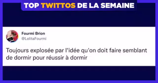 UNE-TOP-TWITTOS-LOLITA-FOURMI