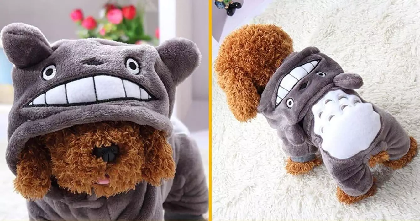 costume-totoro-chien