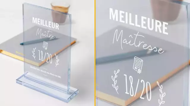 TROPHEE-MEILLEUR-MAITRE