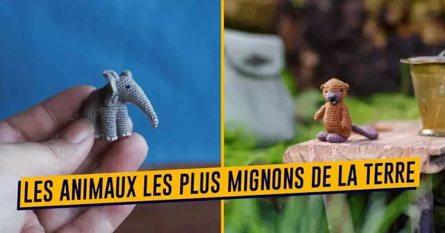 UUNE-SHOPPING-ANIUMAUX-MINUSCULES