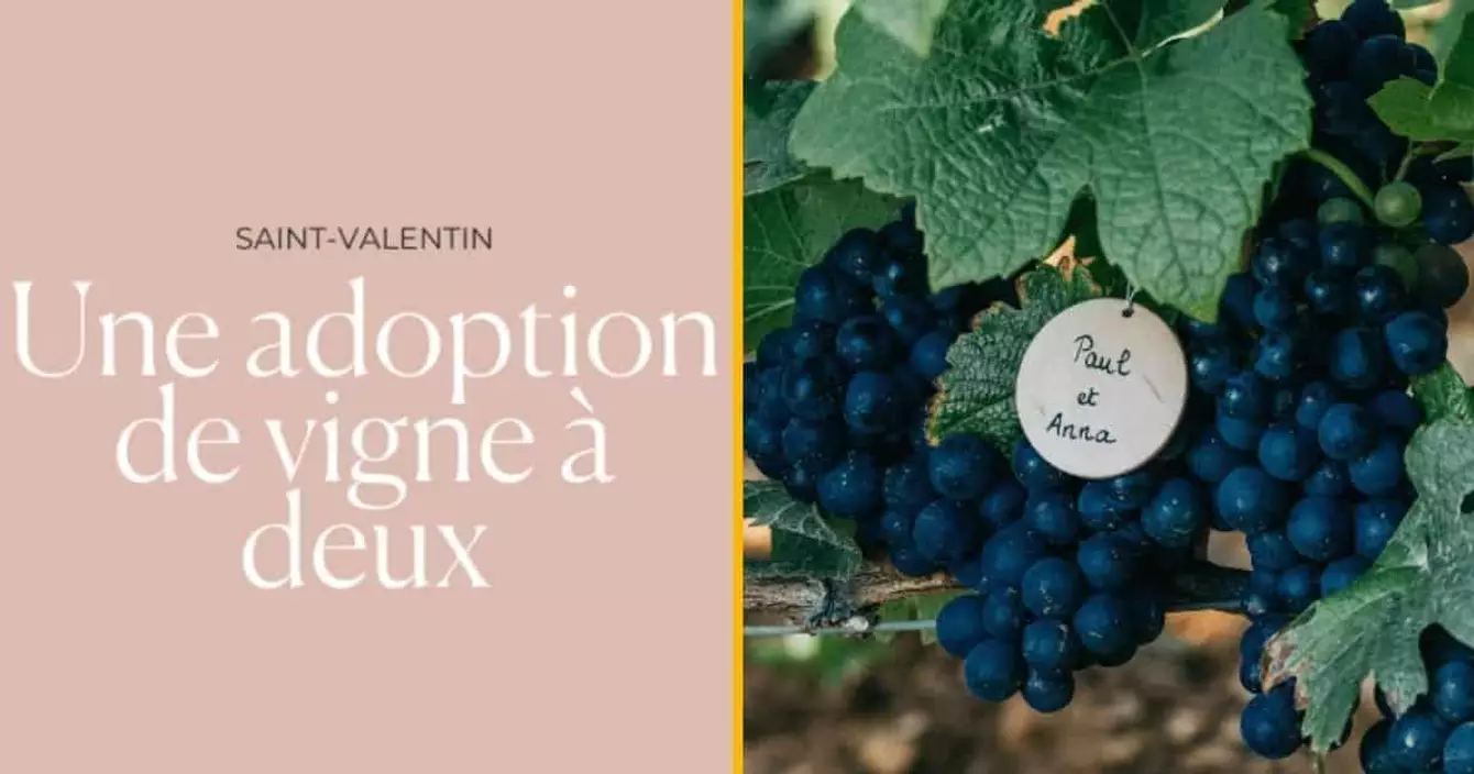 vigne-adopter-saint-valentin