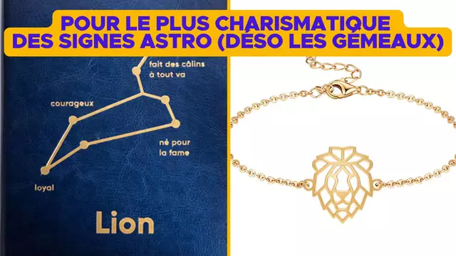 IDEE-CADEAU-LION