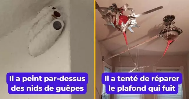 PropriosNulsReparations