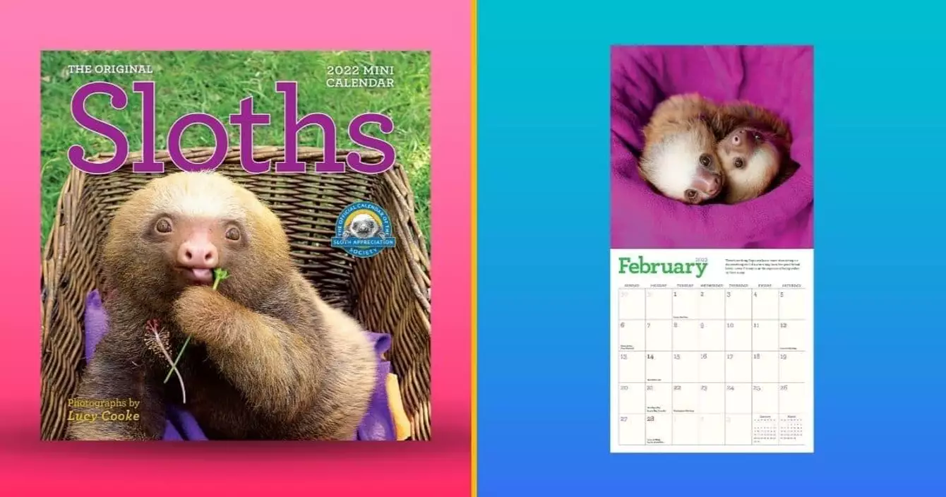 calendrier-paresseux