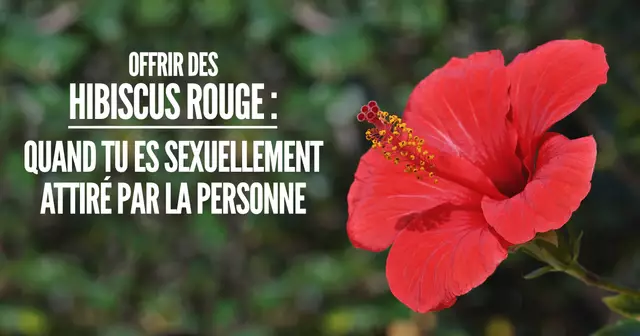 une_fleur_sens