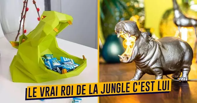 UNE_SHOPPING_hippopotame