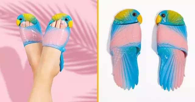 claquettes-perroquet-plage