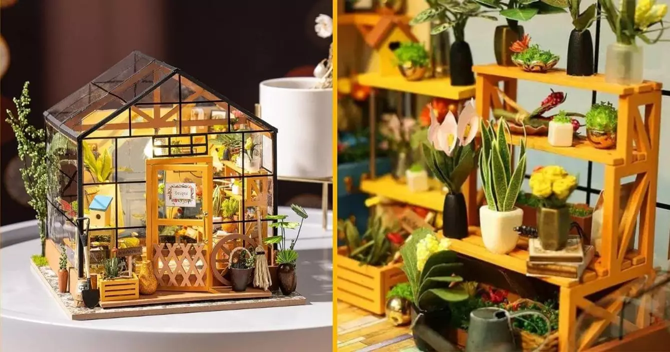 verriere-miniature-monter-soi-meme