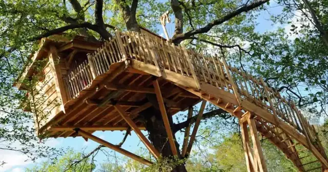 grande-cabane-arbres-aquitaine