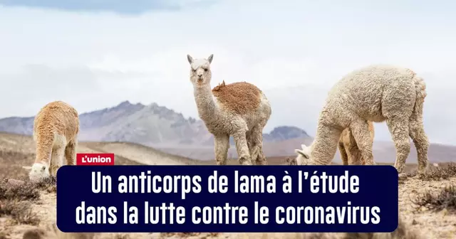 BONNES_NOUVELLES_06MAI