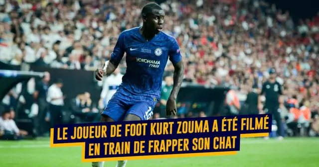 StarsMaltraiteAnimaux