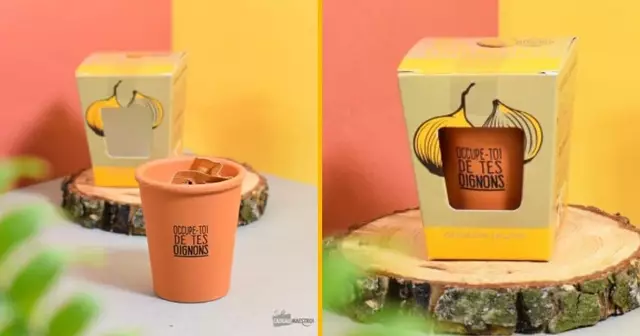 kit-faire-pousser-oignons