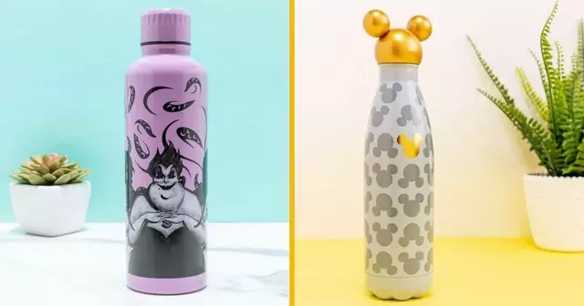 gourde-metal-cendrillon