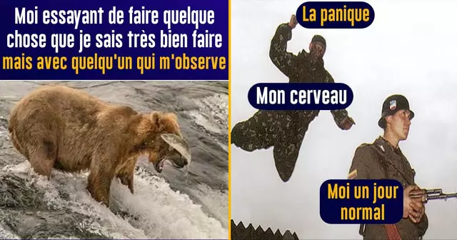 top memes anxiété-2