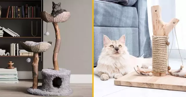 UNE_SHOPPING_ARBRE_CHAT