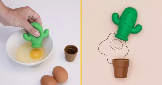 separateur-doeuf-cactus