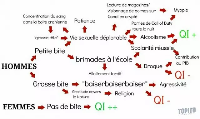 bilan-QI-water-600x356