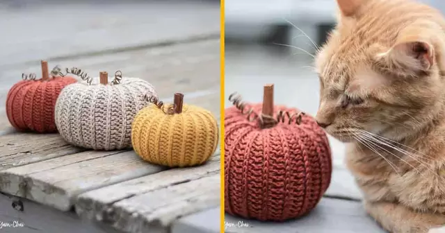 modele-crochet-citrouille