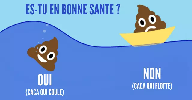 Infographie_caca_Plan-de-travail-3