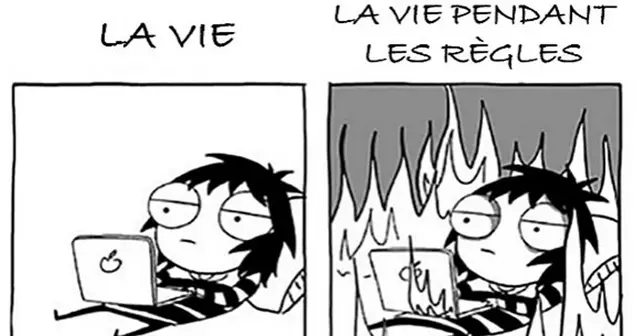quotidien-illustration-regle-sarah-andersen
