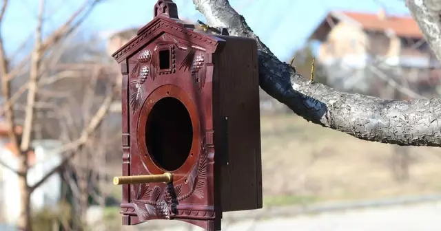 maison-oiseaux-horloge-coucou-ancienne